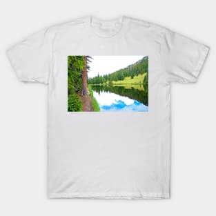 Lake Irene 12-3 T-Shirt